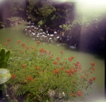 scan 002