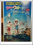 tried undersea walking, but forgot to buy a waterproof disposable camera
DSC00250