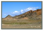 Frame_IMG_6429 eweb