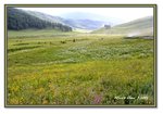 Frame_IMG_6484 eweb
