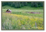 Frame_IMG_6485 eweb