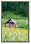 Frame_IMG_6491 eweb