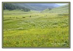 Frame_IMG_6494 eweb