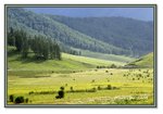 Frame_IMG_6495 eweb