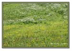 Frame_IMG_6497 eweb