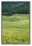 Frame_IMG_6499 eweb