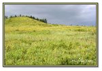 Frame_IMG_6501 eweb