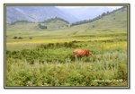Frame_IMG_6627 eweb