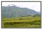Frame_IMG_6635 eweb