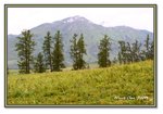 Frame_IMG_6638 eweb