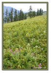 Frame_IMG_6645 eweb