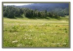 Frame_IMG_6652 eweb