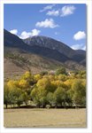 Frame_IMG_8134 e