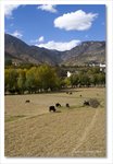 Frame_IMG_8136 e