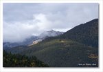 Frame_IMG_8153 e
