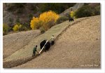 Frame_IMG_8155 e