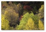 Frame_IMG_8188 e
