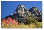 Frame_IMG_8189 e