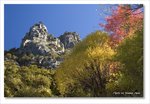 Frame_IMG_8193 e