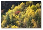 Frame_IMG_8196 e