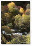 Frame_IMG_8198 e