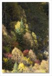 Frame_IMG_8207 e