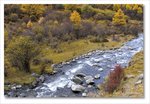 Frame_IMG_8220 e