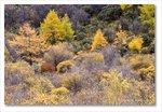 Frame_IMG_8221 e