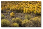 Frame_IMG_8233 e