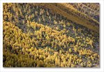 Frame_IMG_8241 e