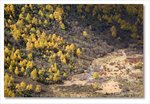 Frame_IMG_8242 e