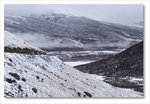 Frame_IMG_8534 e