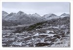 Frame_IMG_8536 e