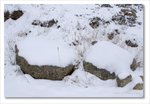 Frame_IMG_8551 e
