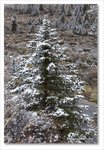 Frame_IMG_8554 e