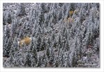 Frame_IMG_8556 e