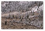 Frame_IMG_8560 e