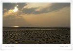 _MG_9877 ec