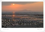 _MG_9917 ec