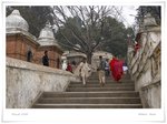 _MG_9521 e