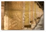 Frame_IMG_8291 e