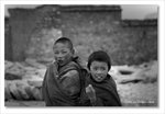 Young Lamas
Frame_IMG_8589 bw
