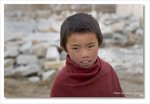 
Young Lama
Frame_IMG_8590 e