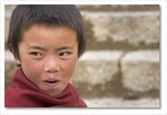 Young Lama
Frame_IMG_8593 e