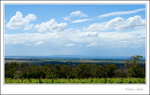 winery
_MG_9834 ec