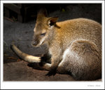 _MG_9841 ec