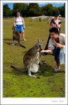 _MG_9872 e