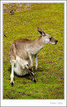 _MG_9873 ec