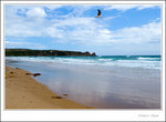 _MG_9894 e