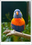_MG_9941 ec